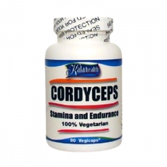 cordyceps